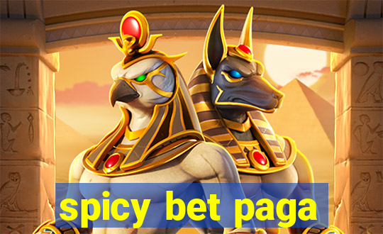 spicy bet paga