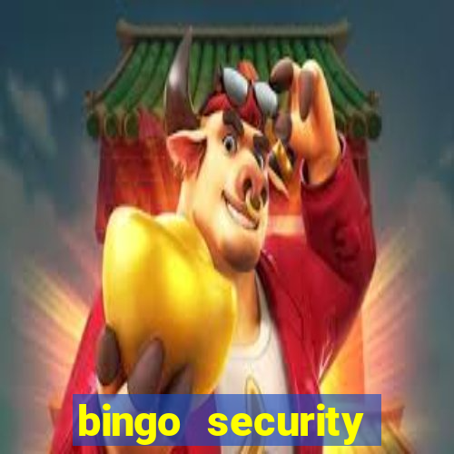 bingo security cassava net