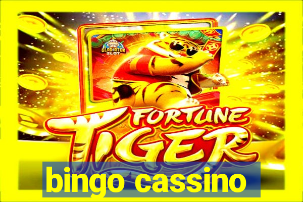 bingo cassino