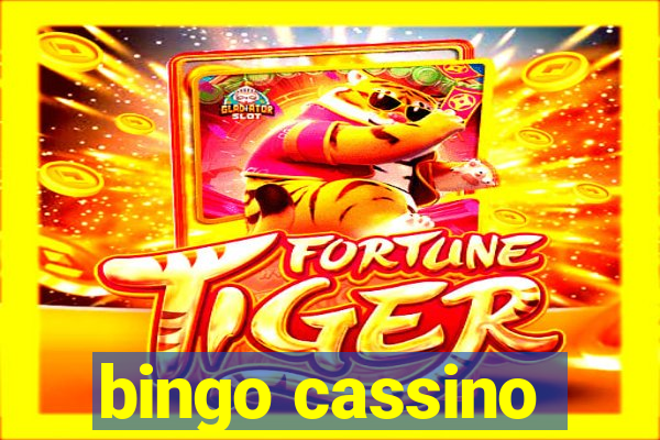 bingo cassino