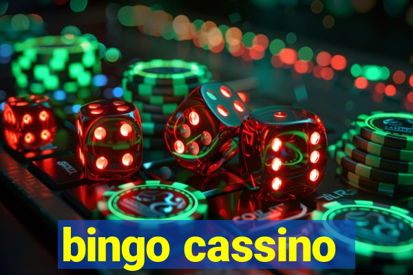 bingo cassino