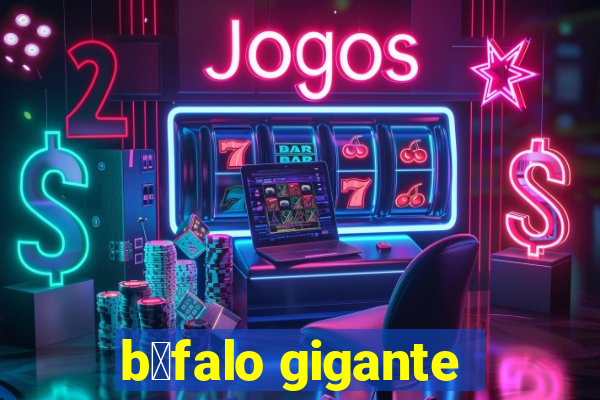 b煤falo gigante