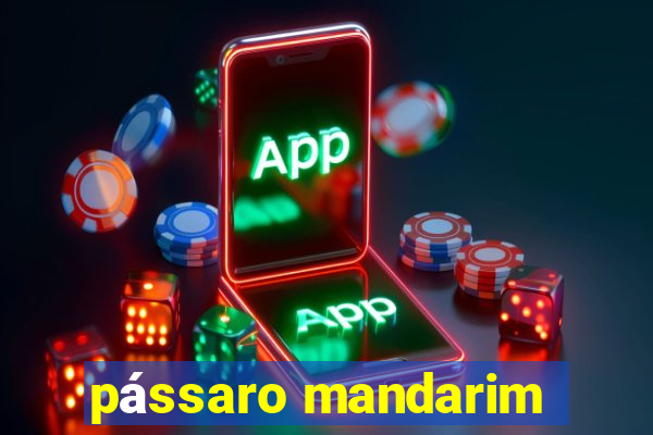 pássaro mandarim