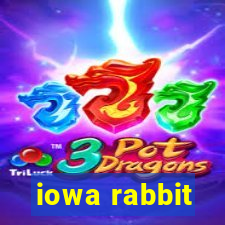 iowa rabbit