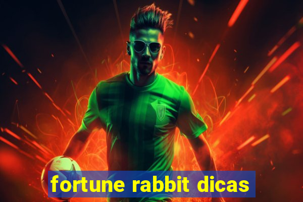 fortune rabbit dicas