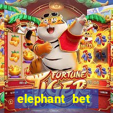 elephant bet aviator login