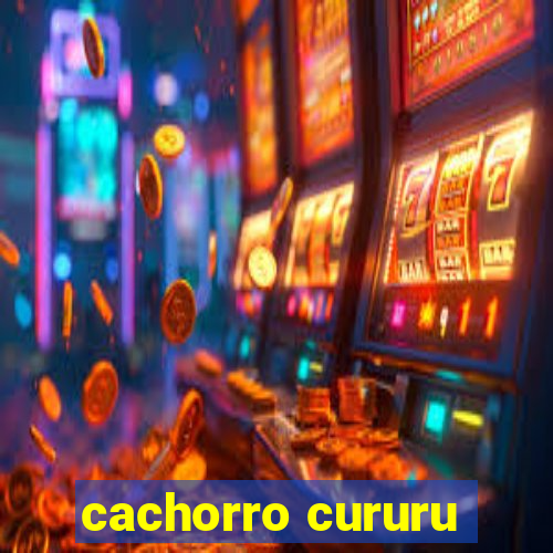 cachorro cururu