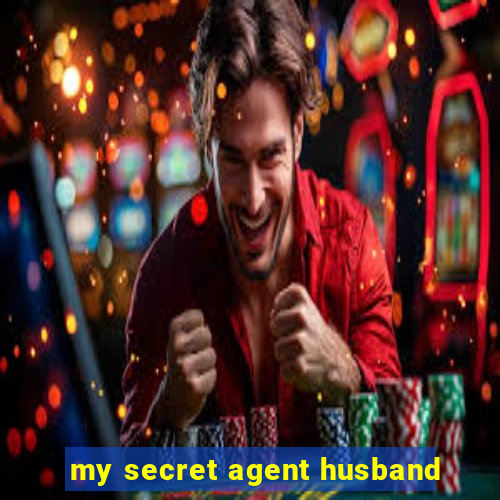 my secret agent husband