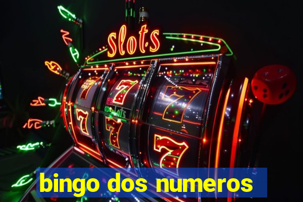 bingo dos numeros