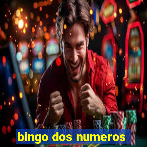 bingo dos numeros