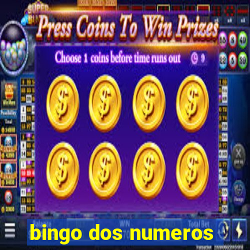 bingo dos numeros