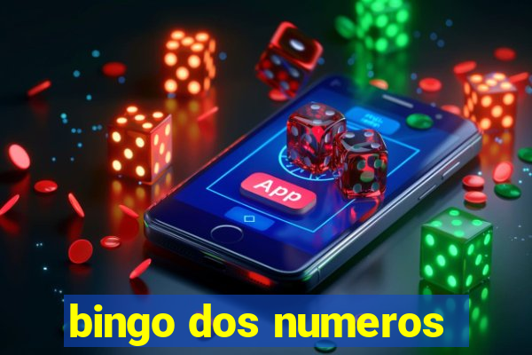 bingo dos numeros