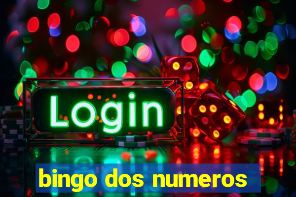 bingo dos numeros