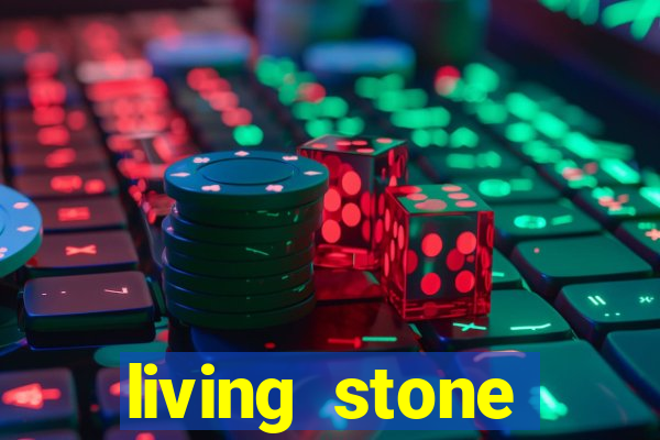 living stone network tv