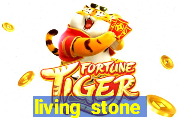 living stone network tv