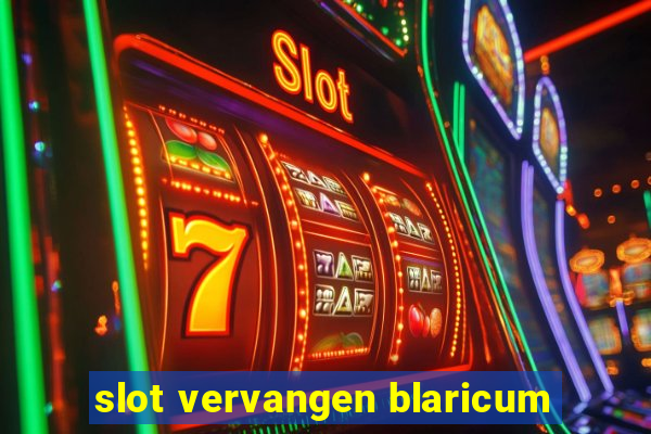 slot vervangen blaricum