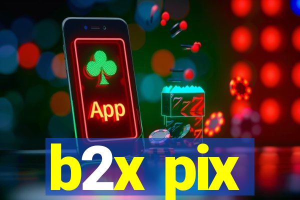 b2x pix