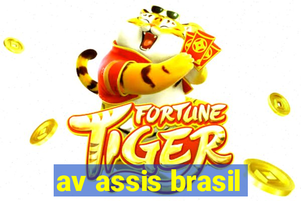 av assis brasil