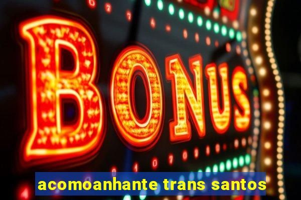 acomoanhante trans santos