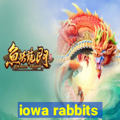 iowa rabbits