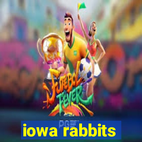 iowa rabbits