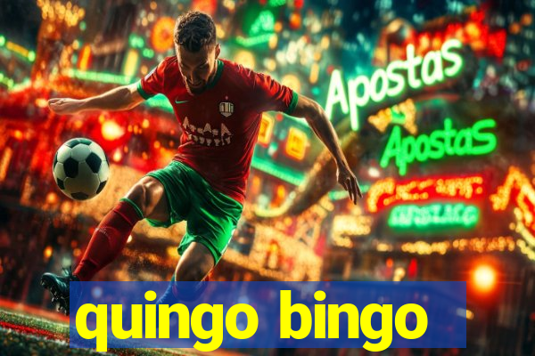 quingo bingo