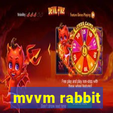 mvvm rabbit