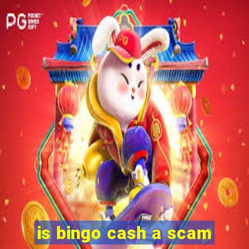 is bingo cash a scam