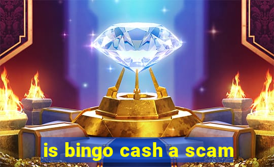 is bingo cash a scam