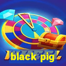 black pig