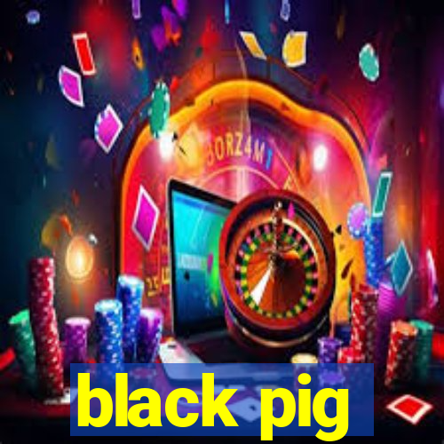 black pig