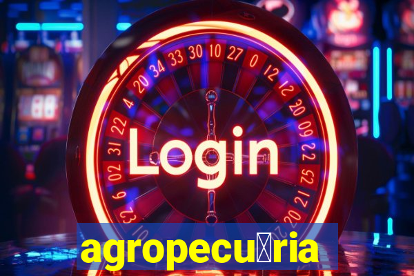 agropecu谩ria jaragua do sul