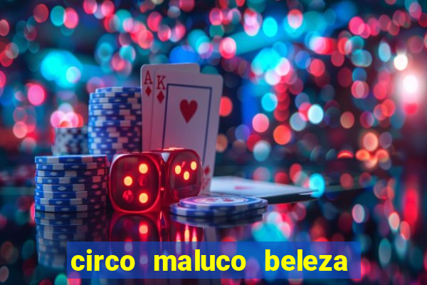 circo maluco beleza recife circo maluco