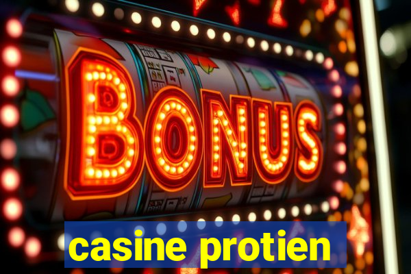 casine protien