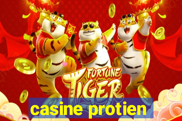 casine protien