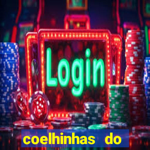 coelhinhas do brasil recife