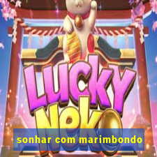 sonhar com marimbondo