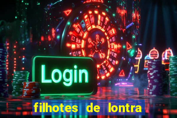 filhotes de lontra para vender