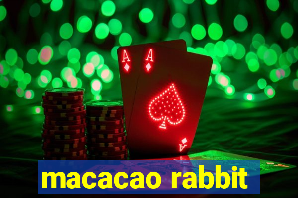 macacao rabbit