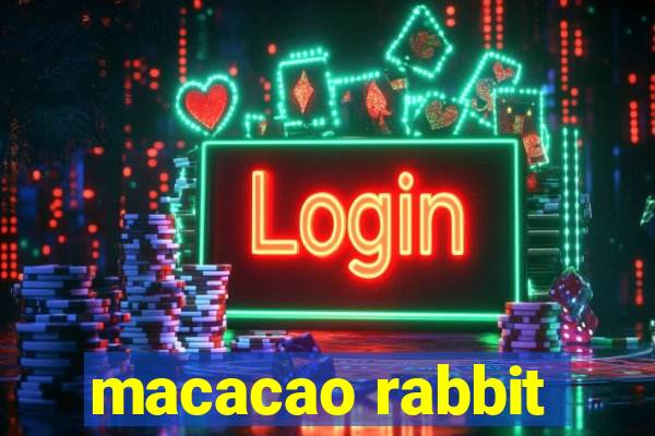 macacao rabbit