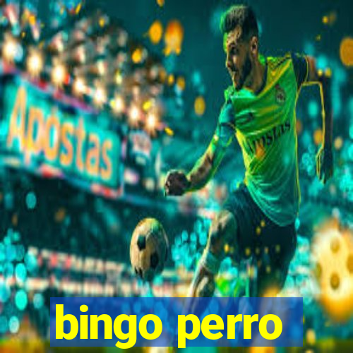 bingo perro