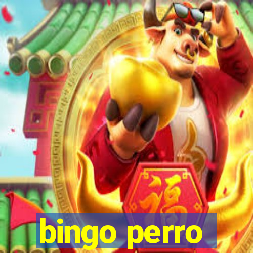 bingo perro