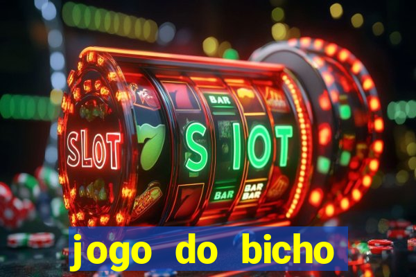 jogo do bicho crash bingo