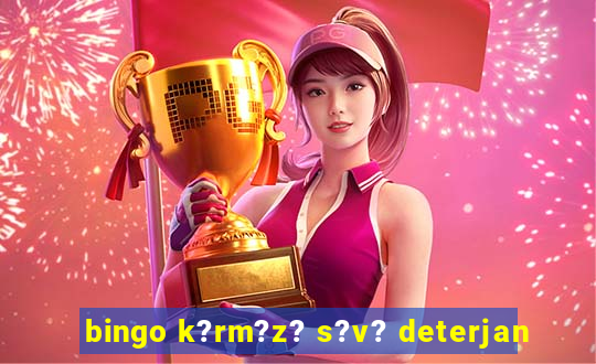 bingo k?rm?z? s?v? deterjan