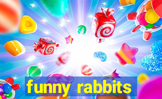 funny rabbits