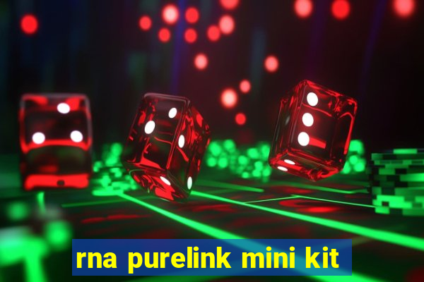 rna purelink mini kit