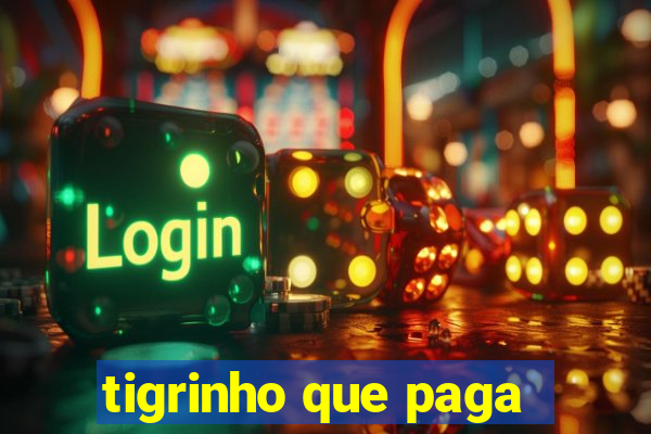 tigrinho que paga