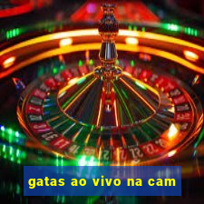 gatas ao vivo na cam