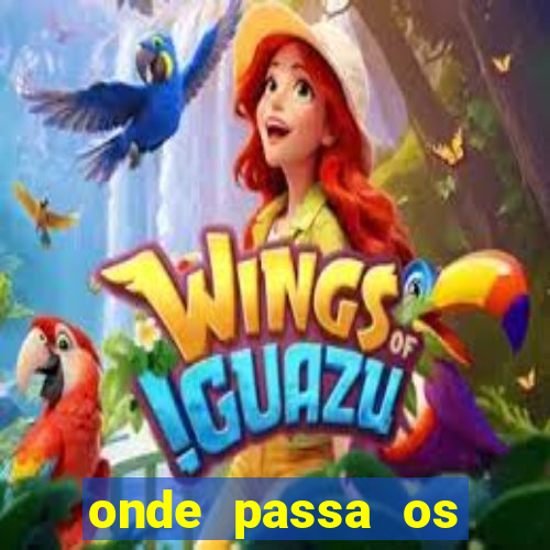 onde passa os jogos do brasileirao