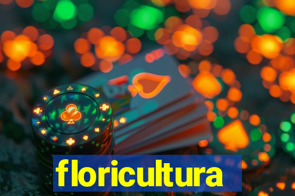 floricultura cruzeiro novo